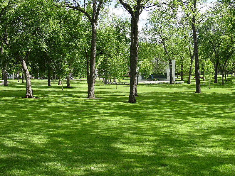 Parco pubblico Mc Kennan